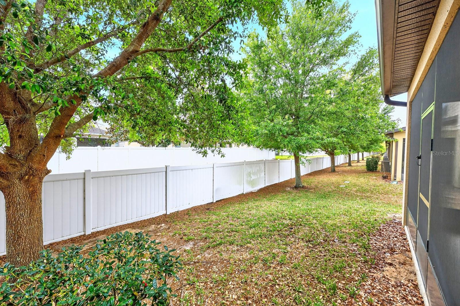 1096 PAVIA DR, APOPKA, FL, 32703