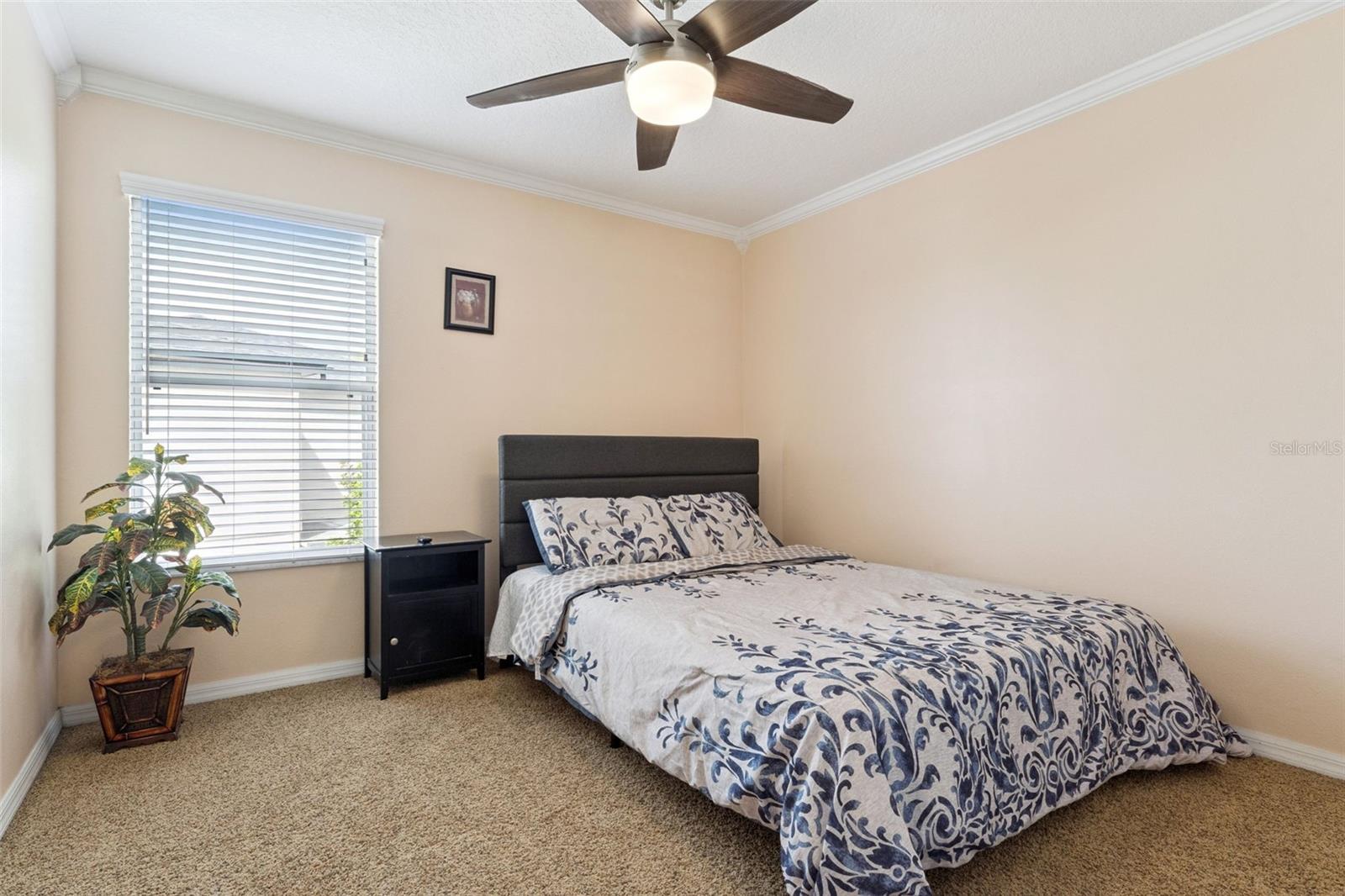 14790 TULLAMORE LOOP, WINTER GARDEN, FL, 34787