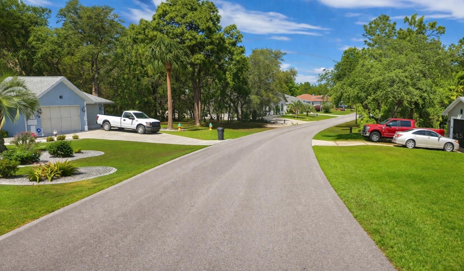 17 SPECEBERRY CIR, HOMOSASSA, FL, 34446