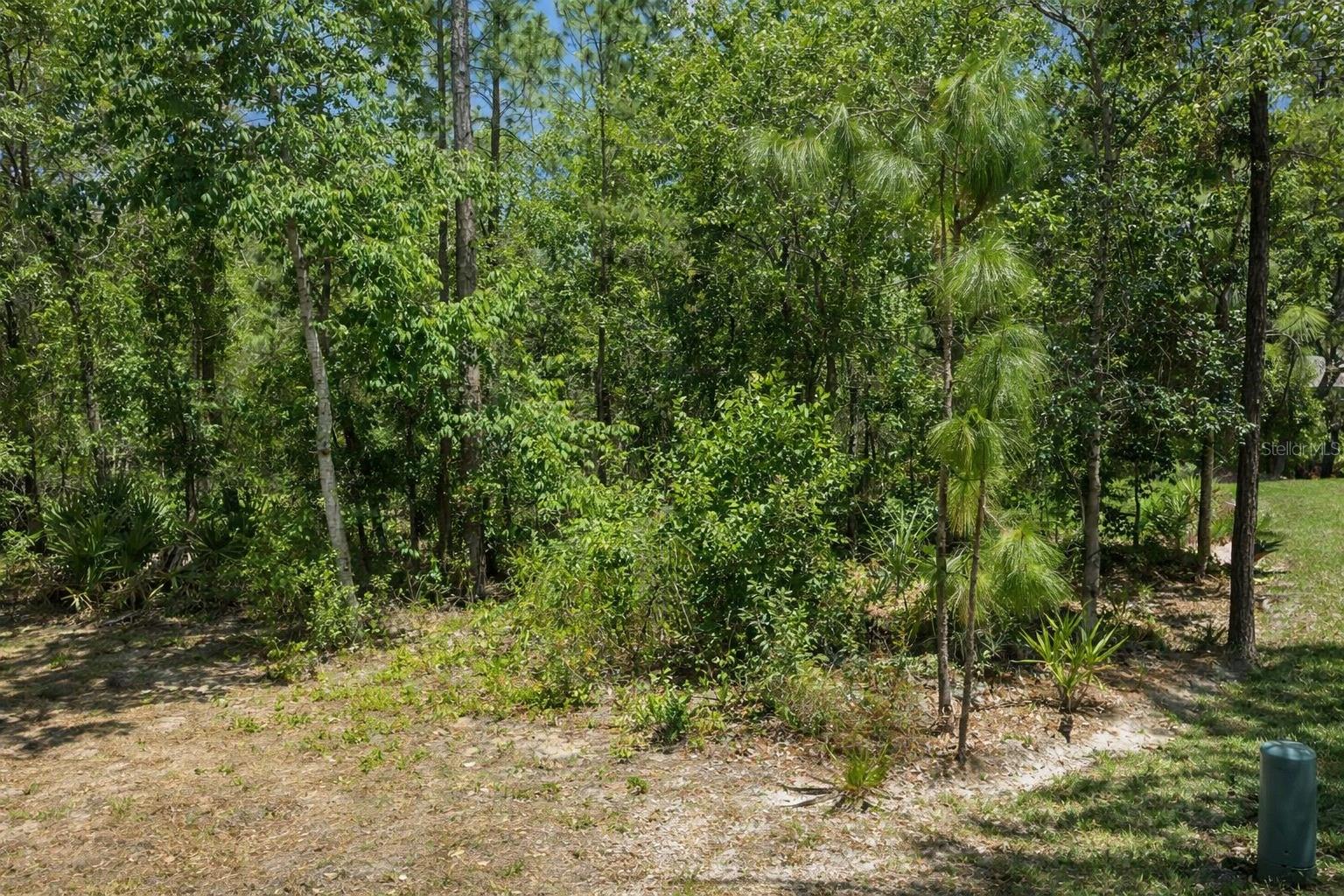 17 SPECEBERRY CIR, HOMOSASSA, FL, 34446
