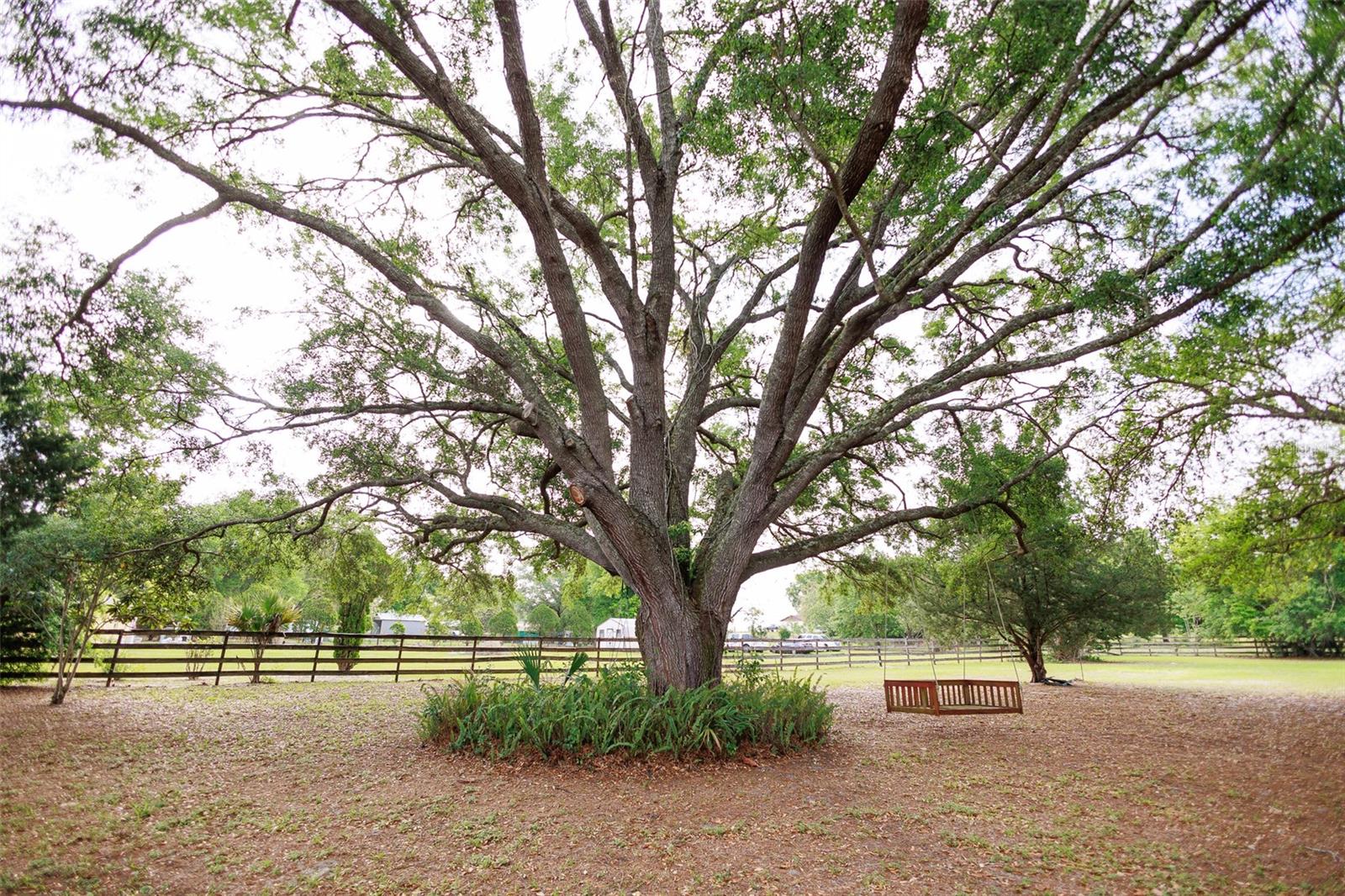 3630 EAGLES NEST RD, FRUITLAND PARK, FL, 34731
