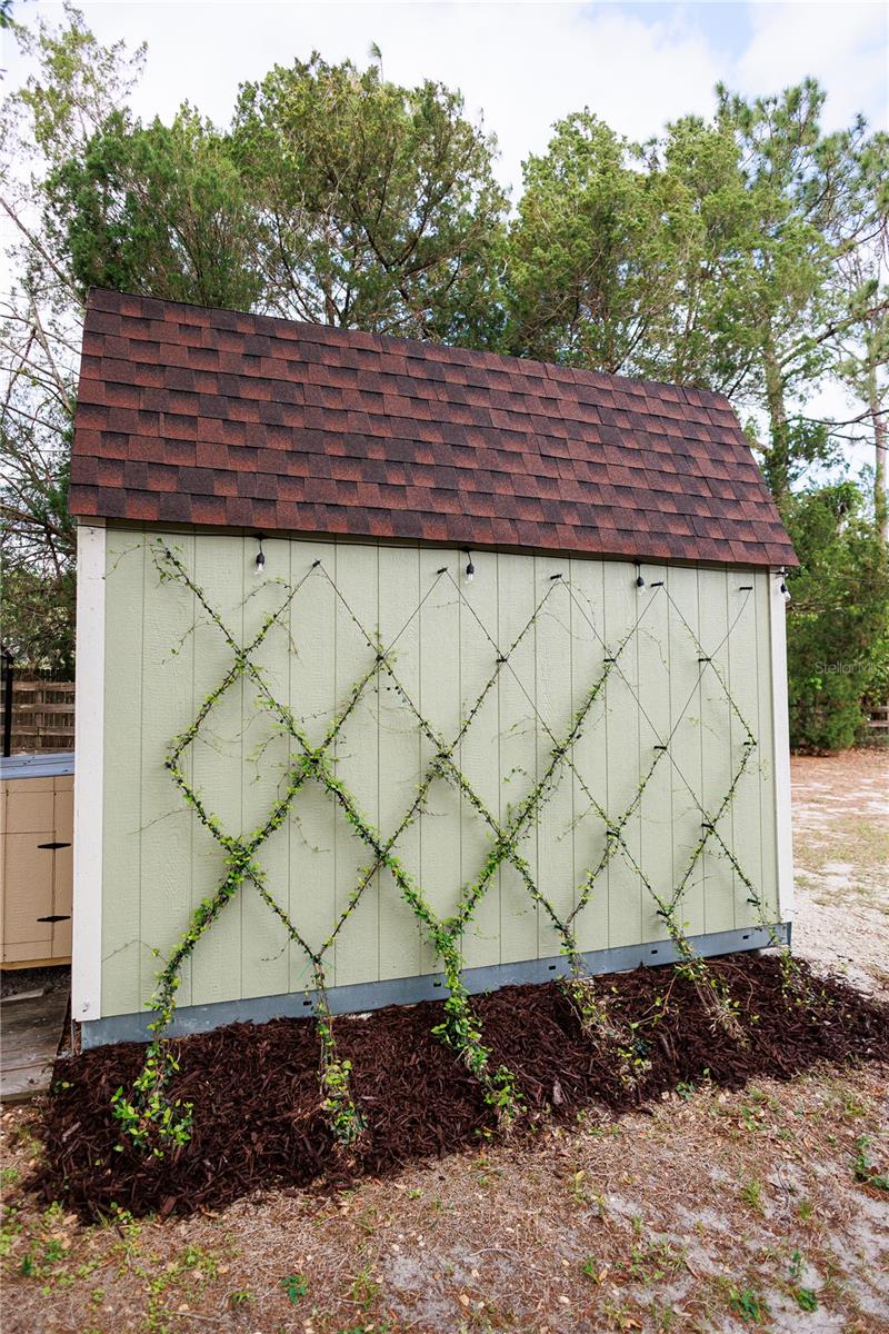3630 EAGLES NEST RD, FRUITLAND PARK, FL, 34731