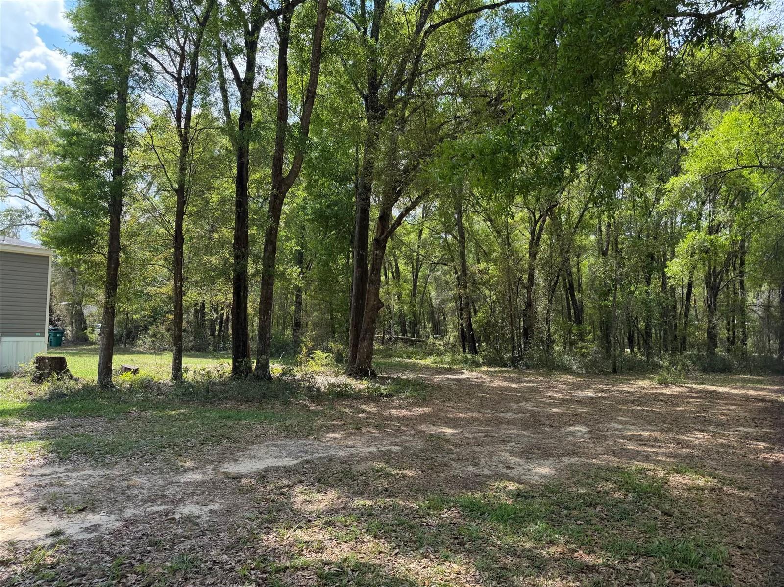 4181 E CARL RAMM LN, INVERNESS, FL, 34452