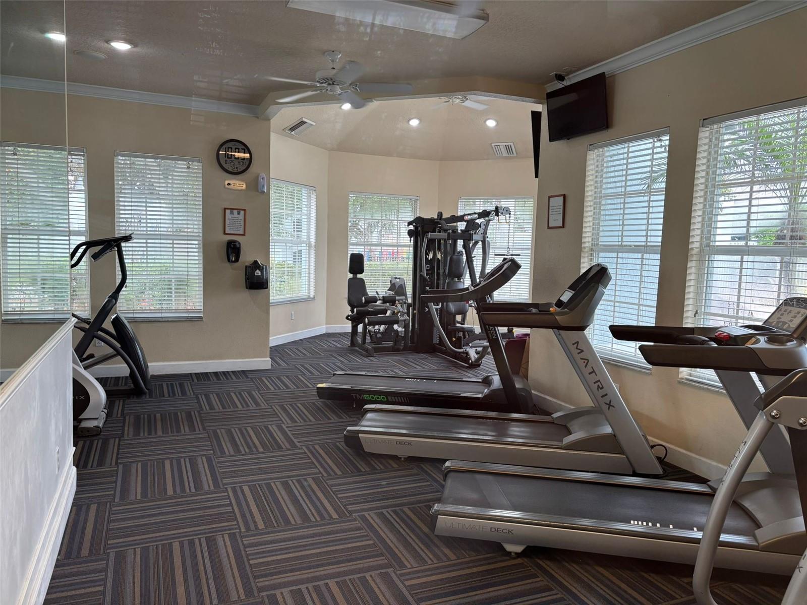 8110 FAN PALM WAY, KISSIMMEE, FL, 34747