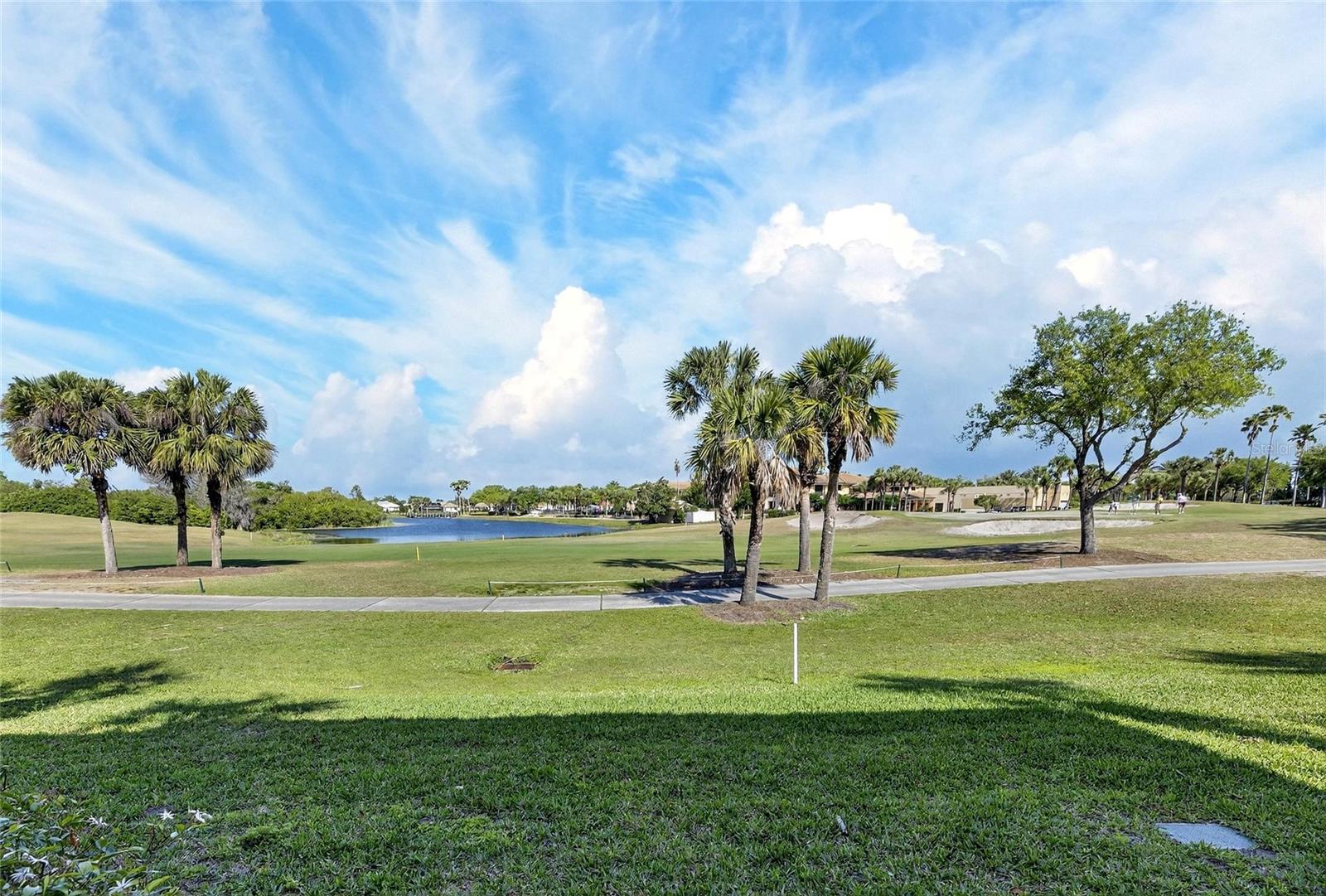 1351 EMERALD DUNES DR #1351, SUN CITY CENTER, FL, 33573