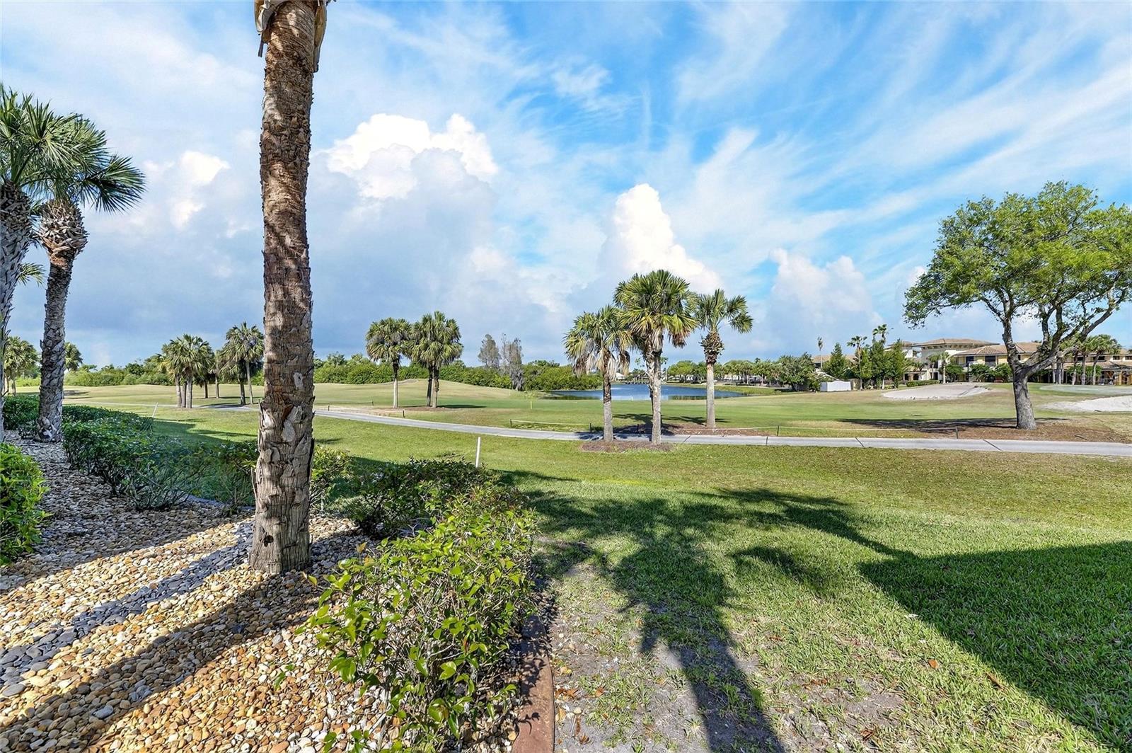 1351 EMERALD DUNES DR #1351, SUN CITY CENTER, FL, 33573