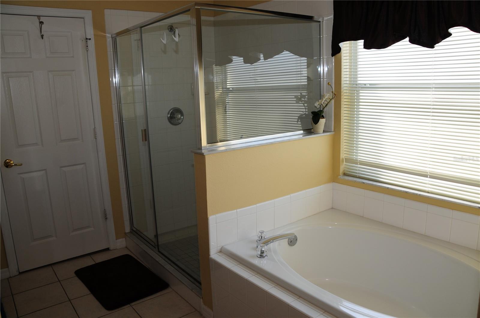 8015 INDIAN CREEK BLVD, KISSIMMEE, FL, 34747