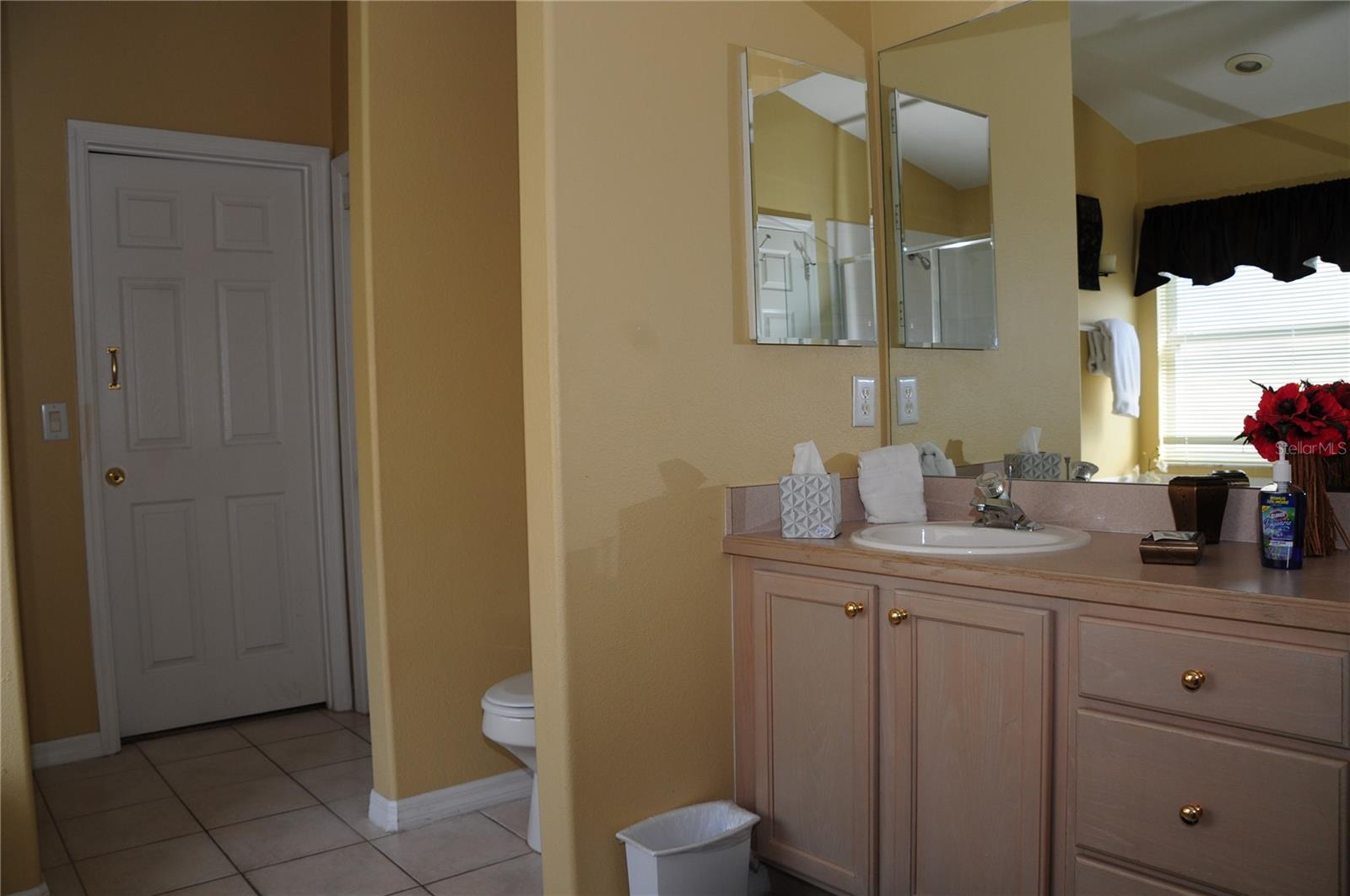 8015 INDIAN CREEK BLVD, KISSIMMEE, FL, 34747
