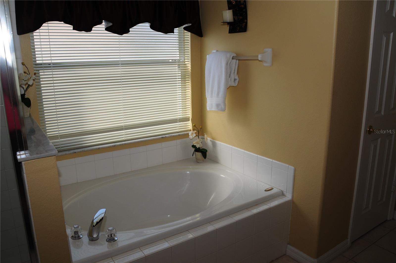 8015 INDIAN CREEK BLVD, KISSIMMEE, FL, 34747
