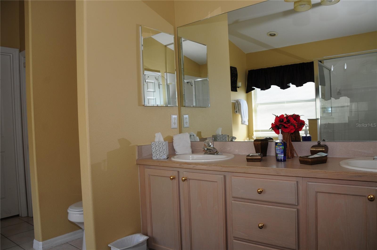 8015 INDIAN CREEK BLVD, KISSIMMEE, FL, 34747