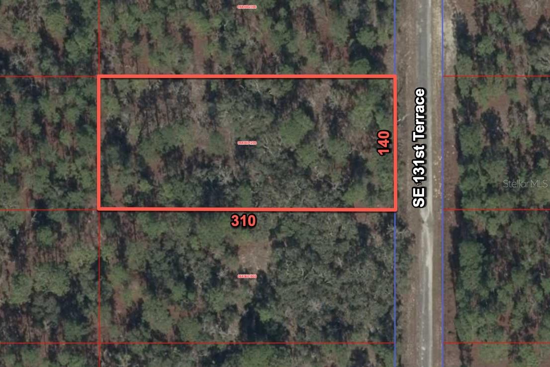 11320 SE 131ST TER, DUNNELLON, FL, 34431