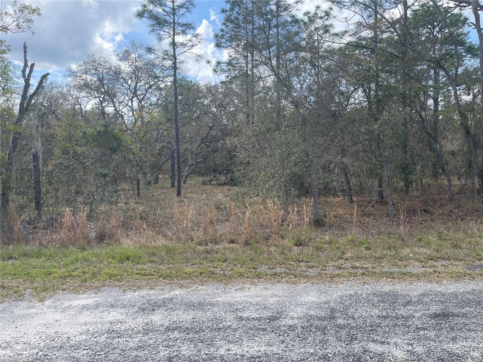11320 SE 131ST TER, DUNNELLON, FL, 34431