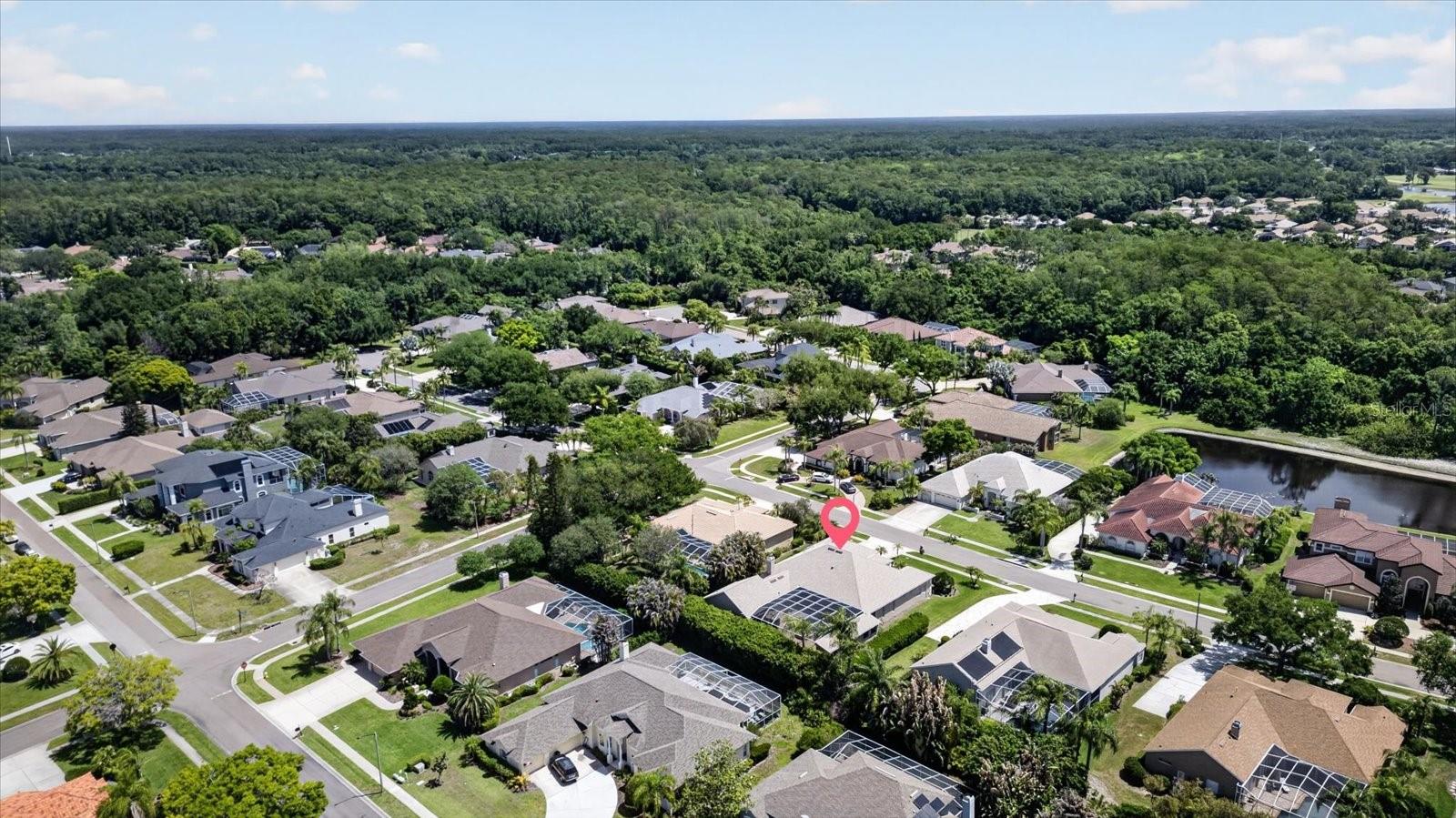 4052 CAPITOL DR, PALM HARBOR, FL, 34685