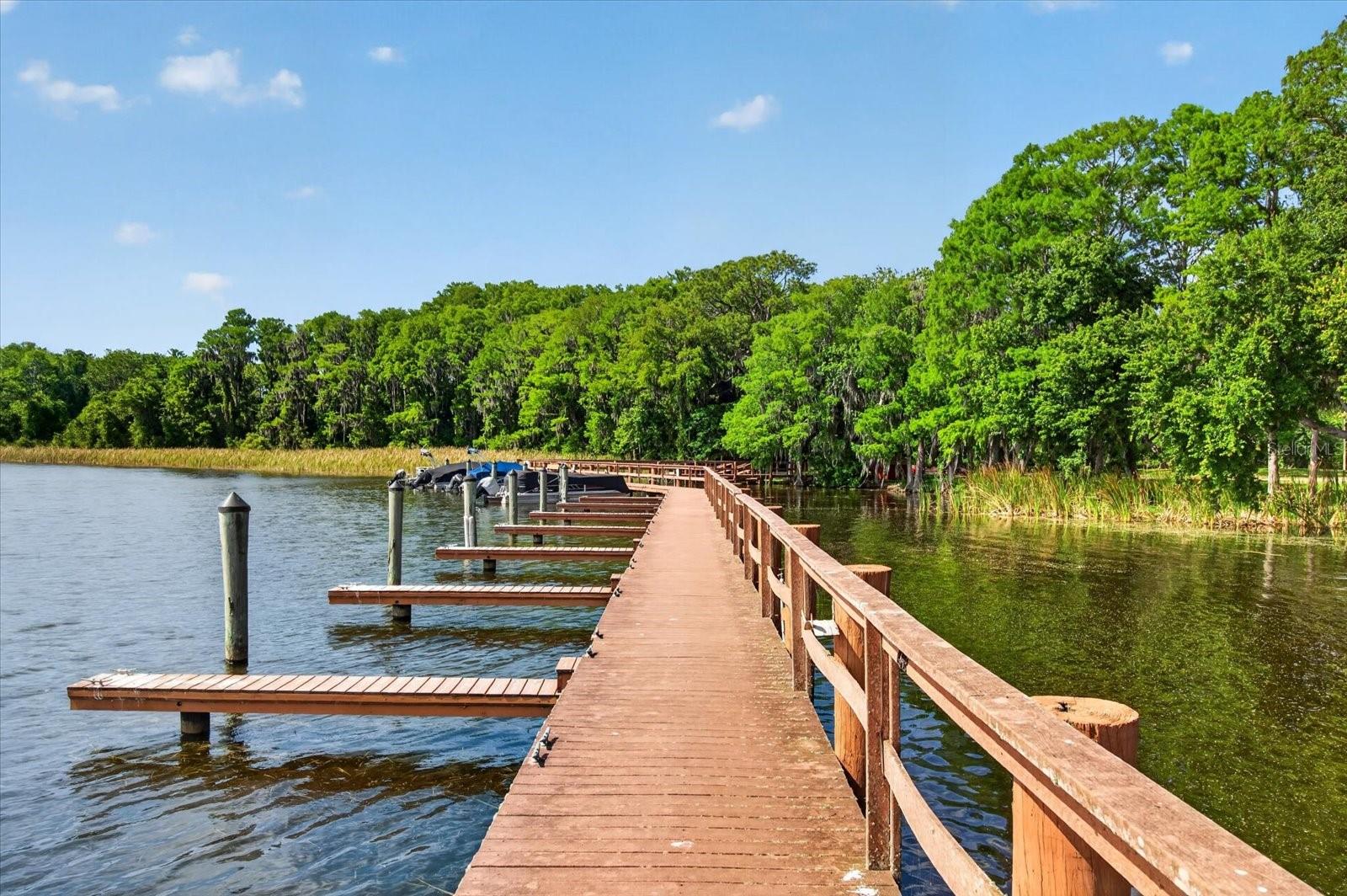 4052 CAPITOL DR, PALM HARBOR, FL, 34685