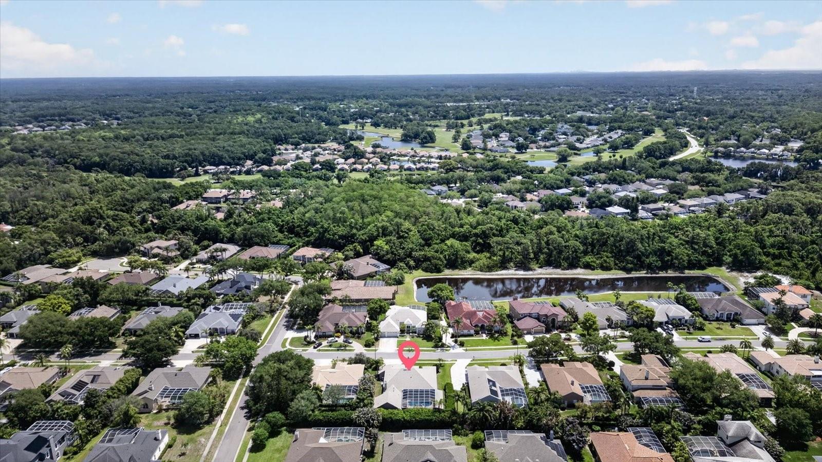 4052 CAPITOL DR, PALM HARBOR, FL, 34685