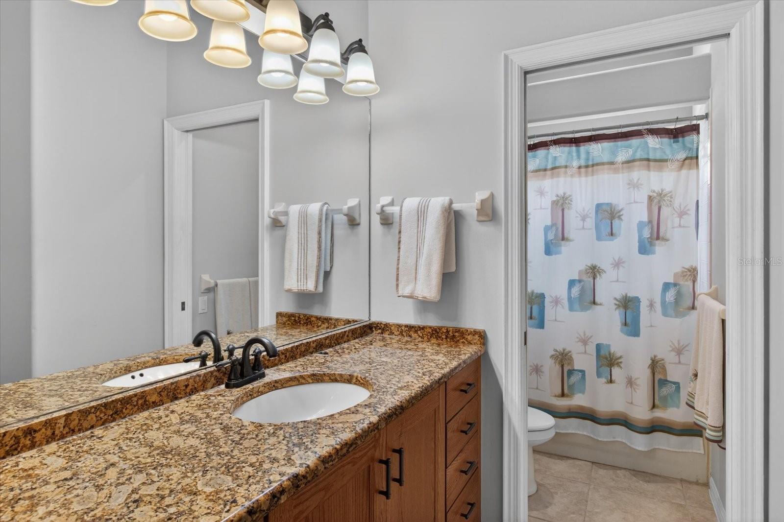 4052 CAPITOL DR, PALM HARBOR, FL, 34685