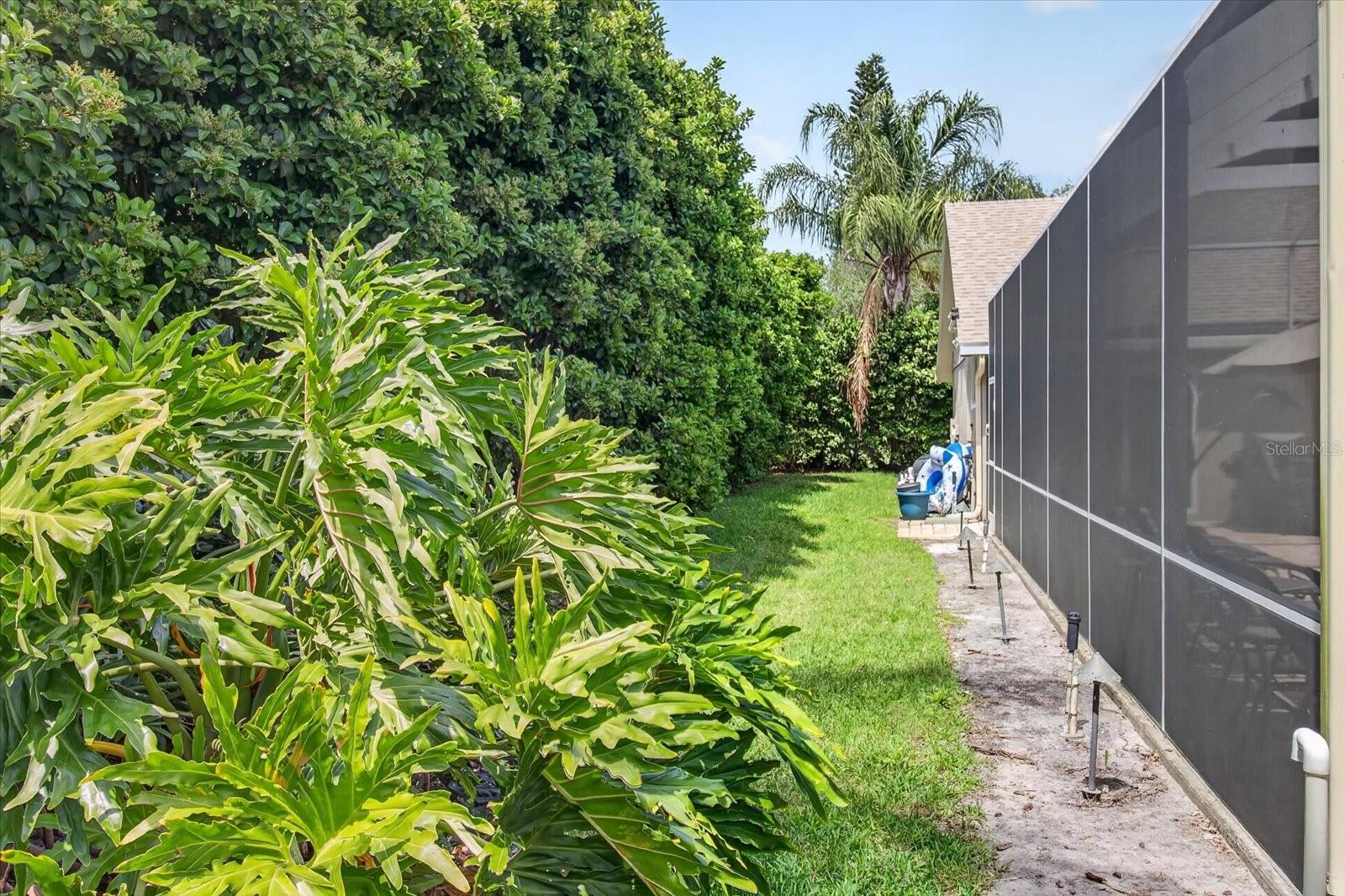 4052 CAPITOL DR, PALM HARBOR, FL, 34685