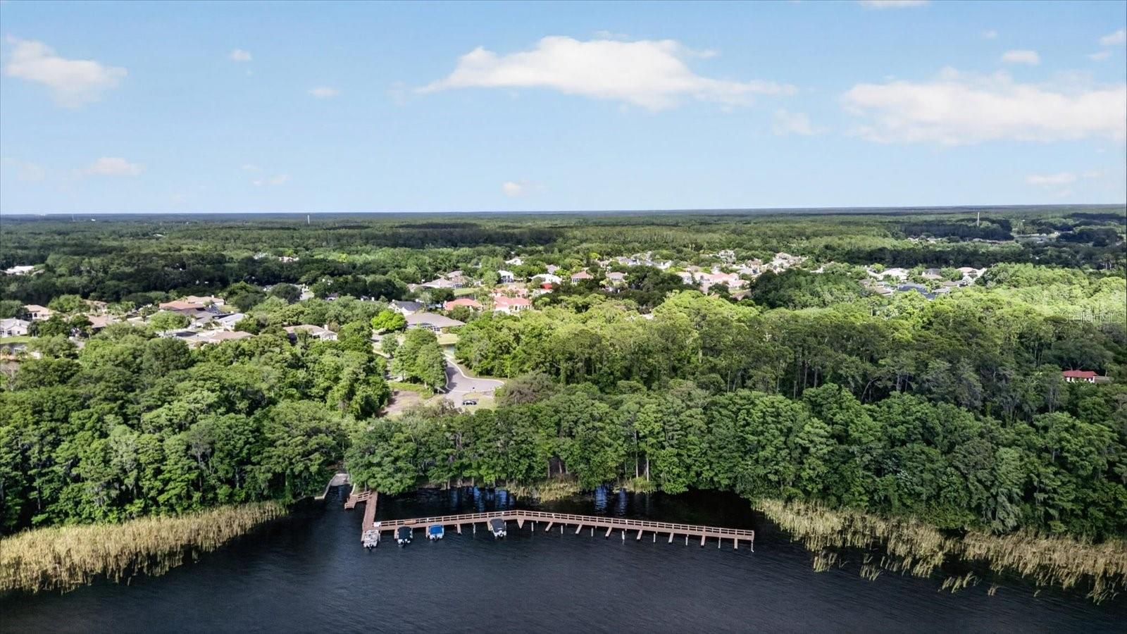 4052 CAPITOL DR, PALM HARBOR, FL, 34685