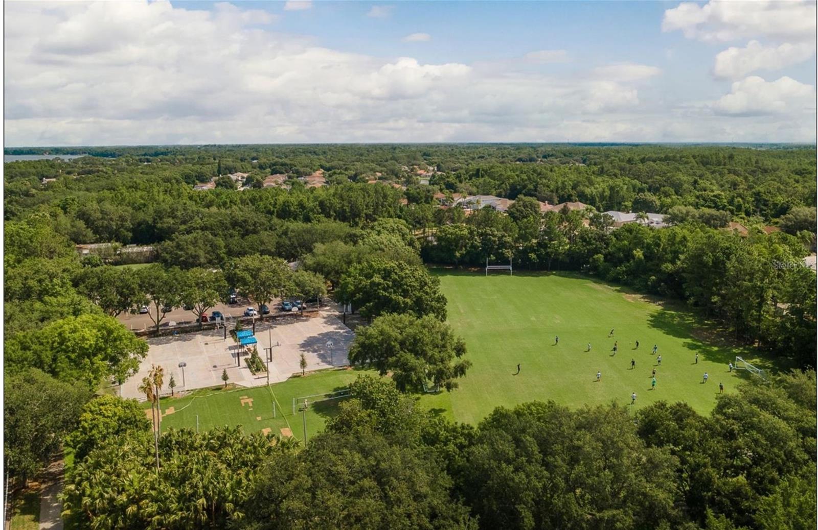 4052 CAPITOL DR, PALM HARBOR, FL, 34685