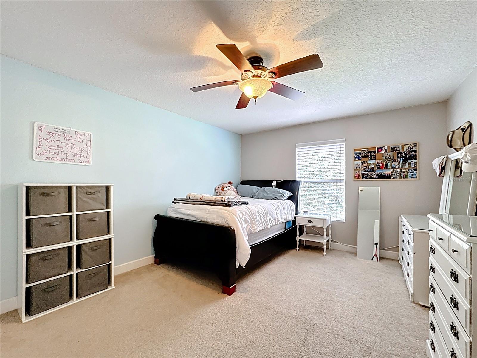2685 REGAL PINE TRL, OVIEDO, FL, 32766