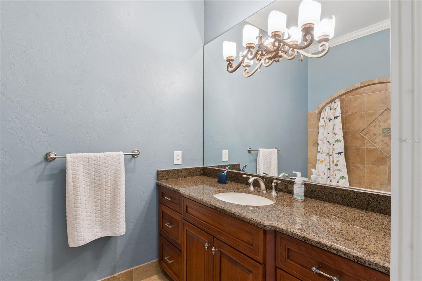 3130 BUTLER BAY DR N, WINDERMERE, FL, 34786