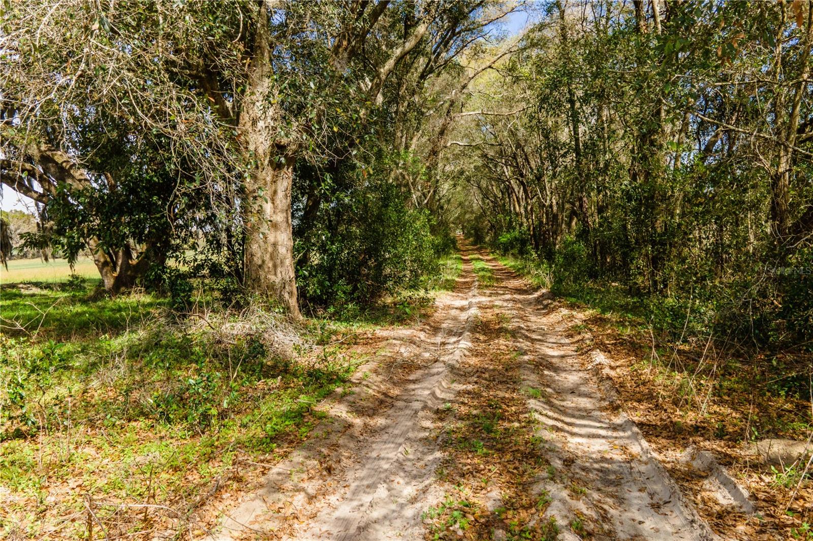 TBD SW 298 ST, NEWBERRY, FL, 32669