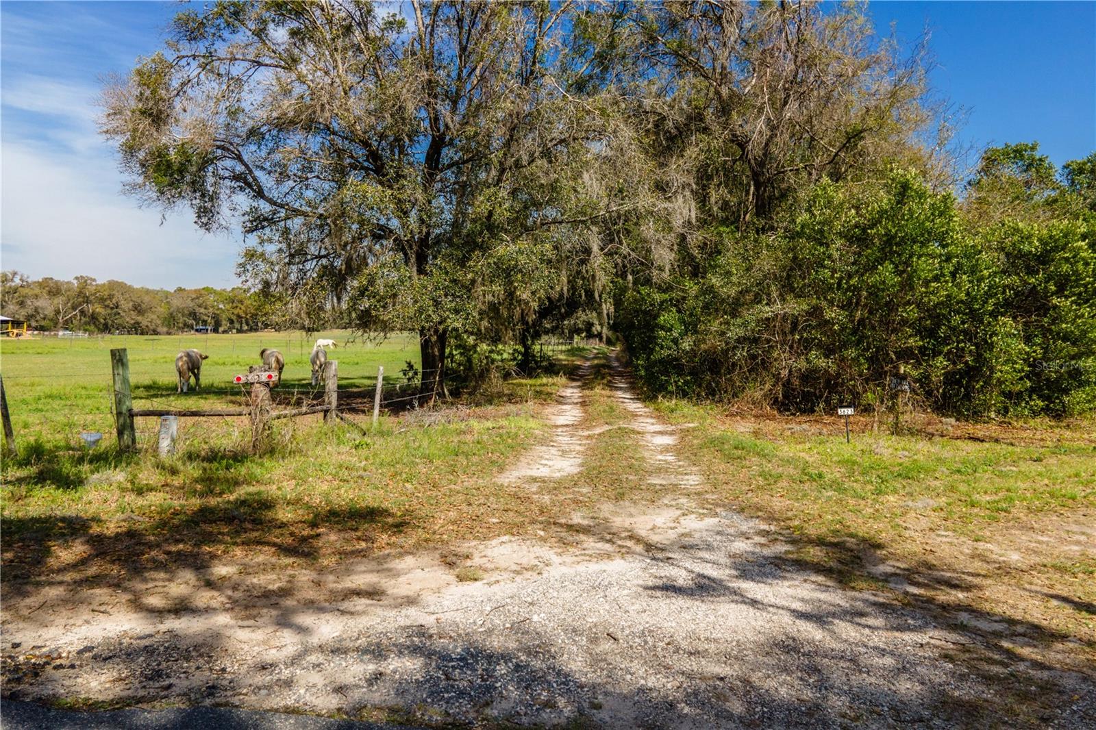 TBD SW 298 ST, NEWBERRY, FL, 32669