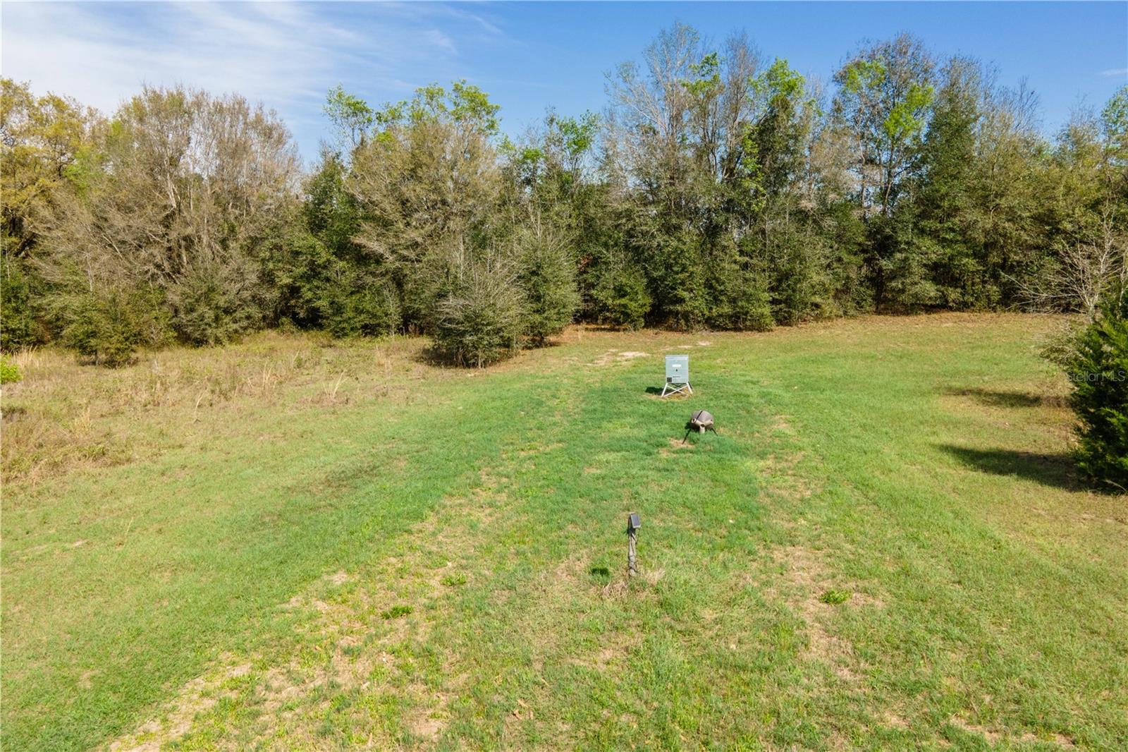 TBD SW 298 ST, NEWBERRY, FL, 32669