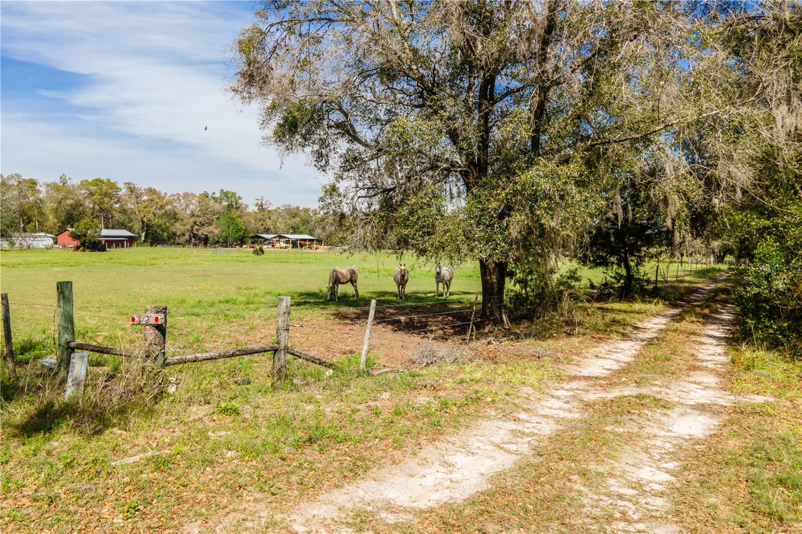 TBD SW 298 ST, NEWBERRY, FL, 32669