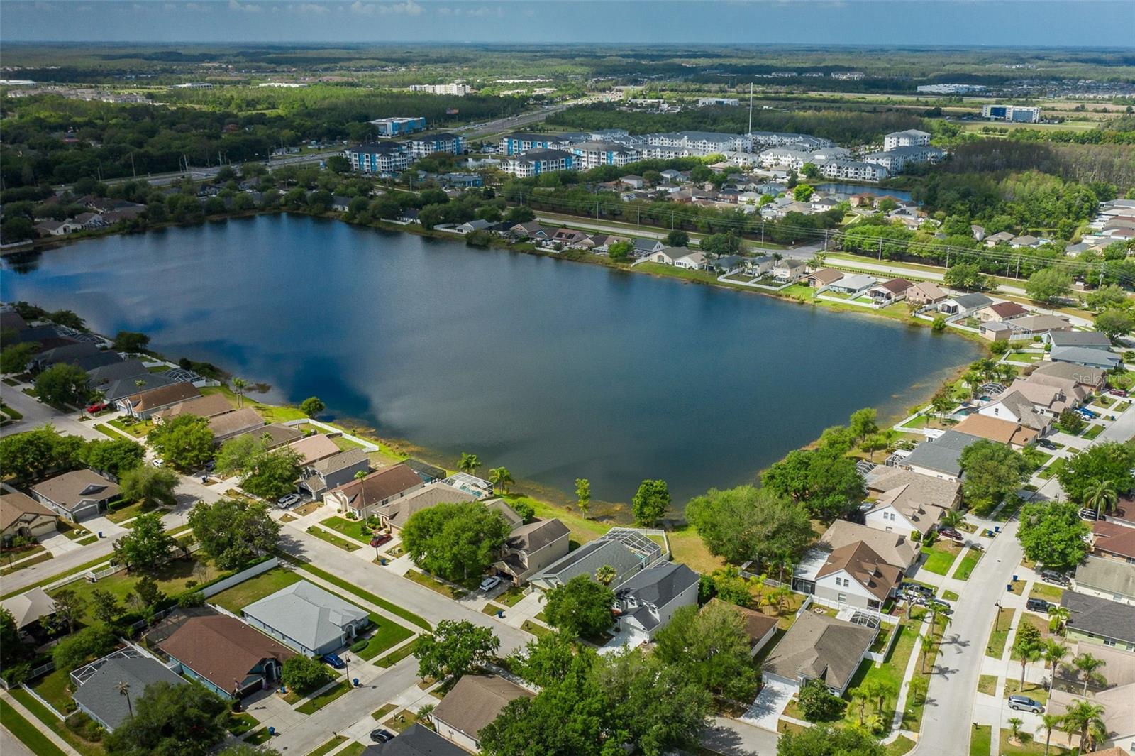 2851 BUTTERFLY LANDING DR, LAND O LAKES, FL, 34638