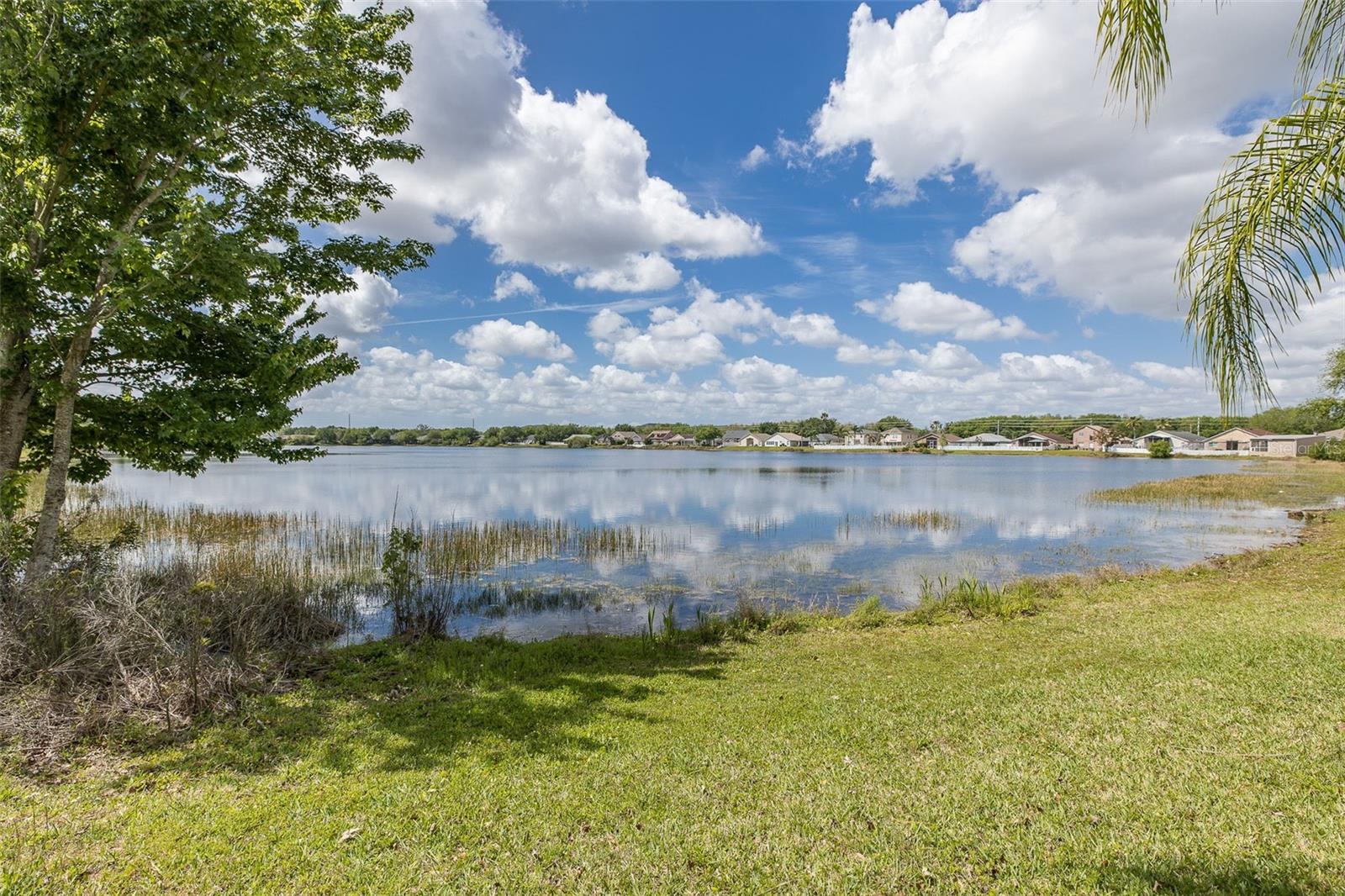 2851 BUTTERFLY LANDING DR, LAND O LAKES, FL, 34638