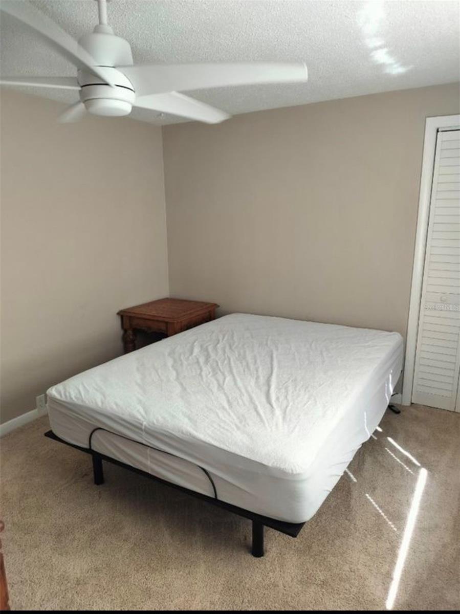 2317 W BRISTOL AVE, TAMPA, FL, 33609