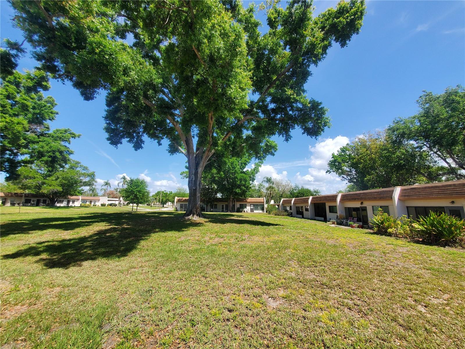 1391 MISSION HILLS BLVD, CLEARWATER, FL, 33759