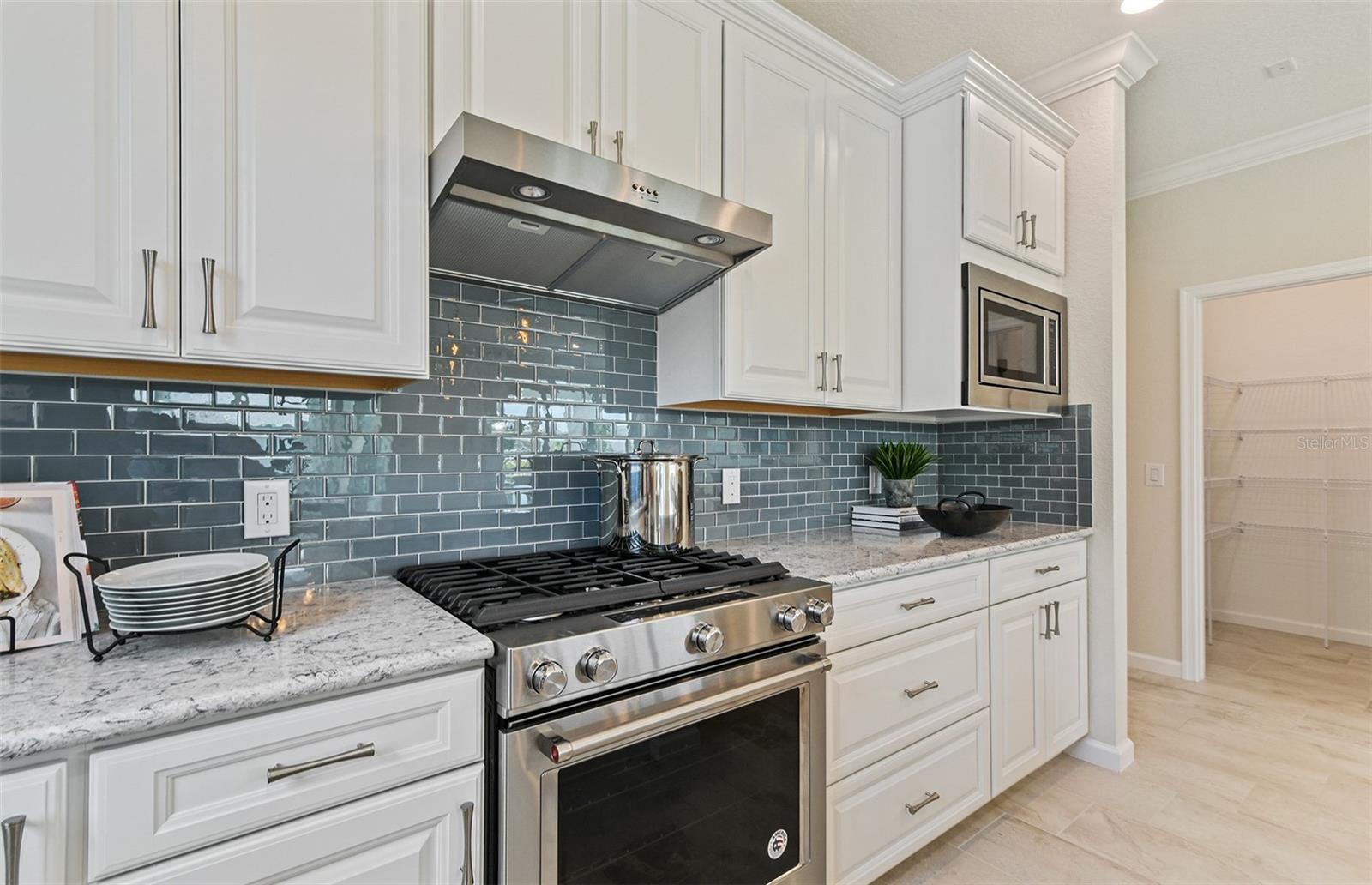 2733 SERENITY MEADOW DRIVE, KISSIMMEE, FL, 34744