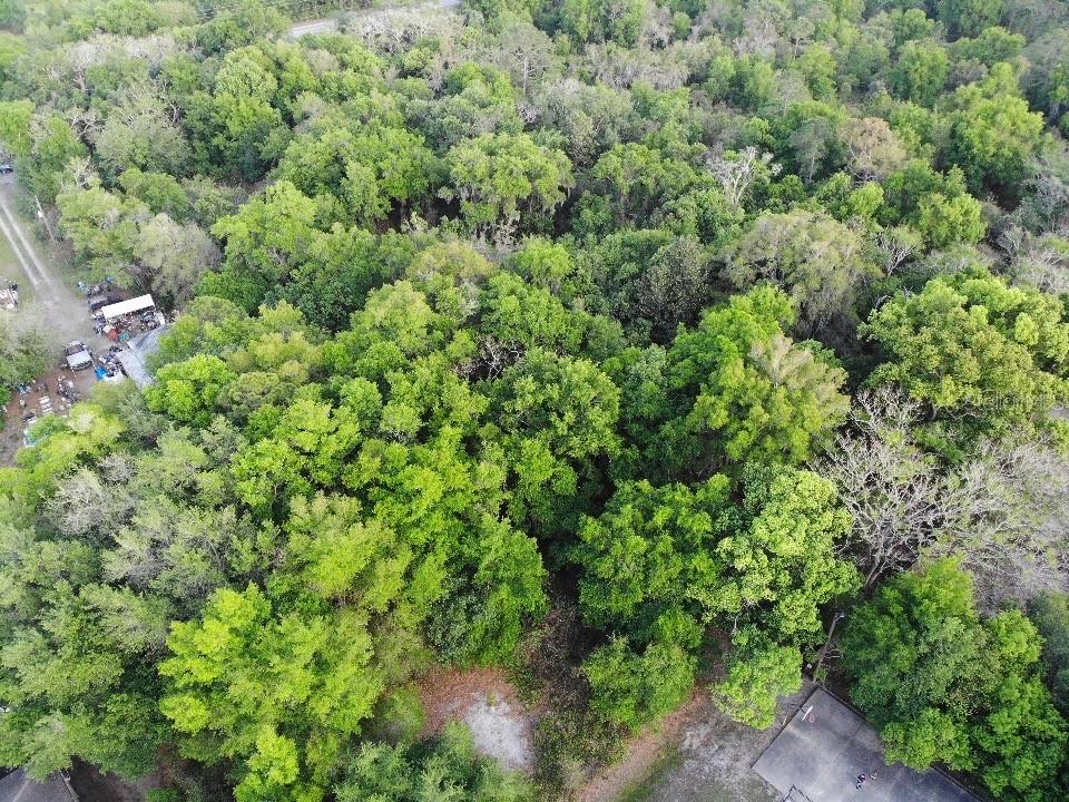 2156 OLD HICKORY TREE RD, ST CLOUD, FL, 34772