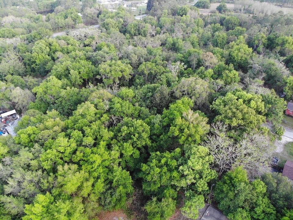2156 OLD HICKORY TREE RD, ST CLOUD, FL, 34772