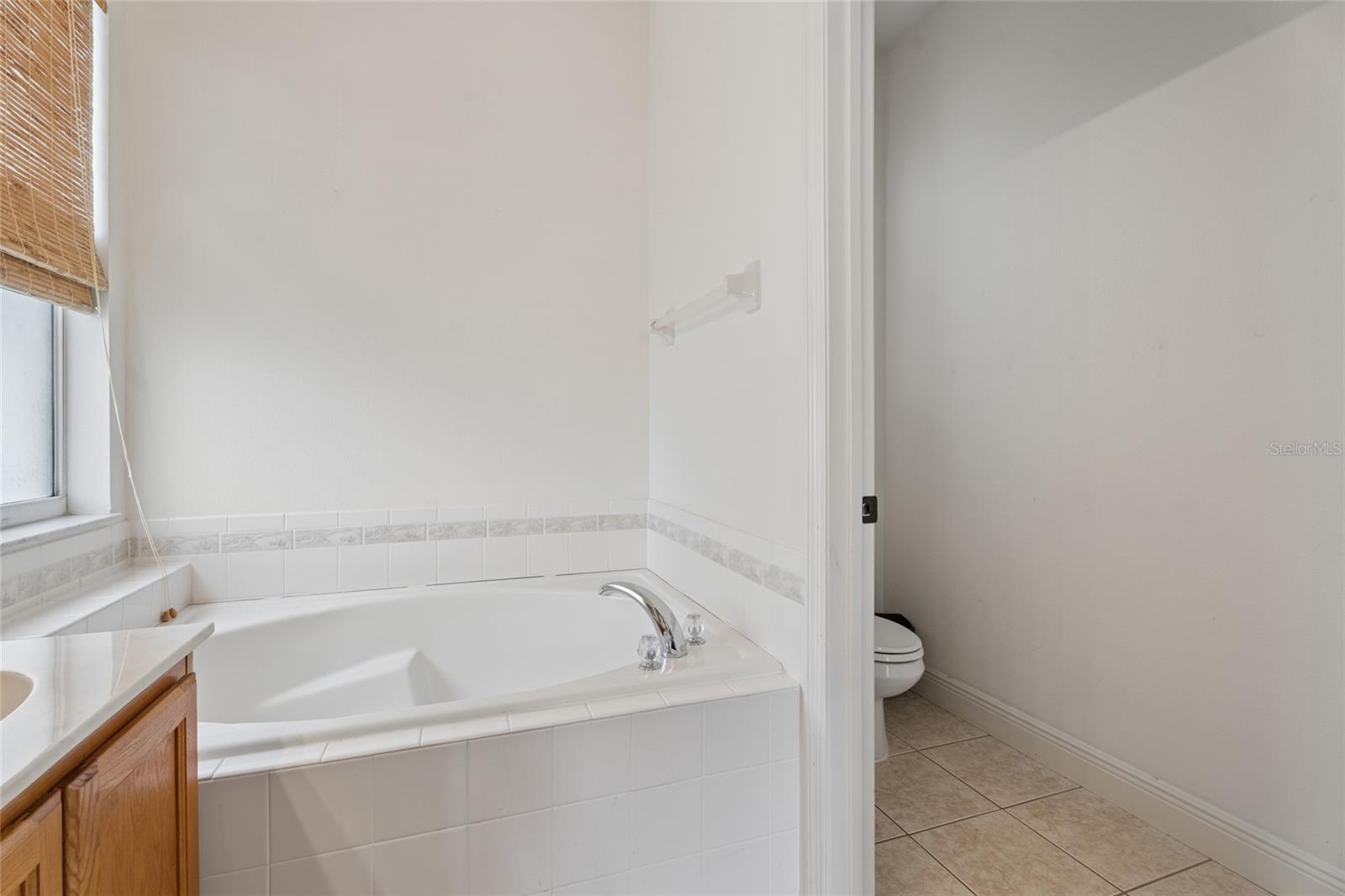 14227 LAKE LIVE OAK DR, ORLANDO, FL, 32828