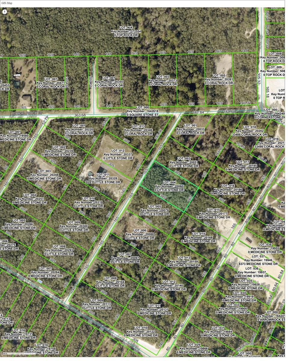 000 LITTLE STONE DR, WEBSTER, FL, 33597