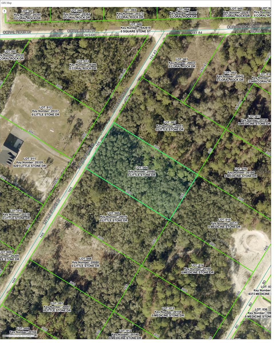 000 LITTLE STONE DR, WEBSTER, FL, 33597
