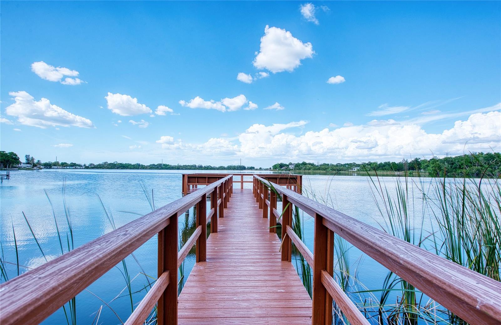 648 SPRING LAKE CIR, TARPON SPRINGS, FL, 34688