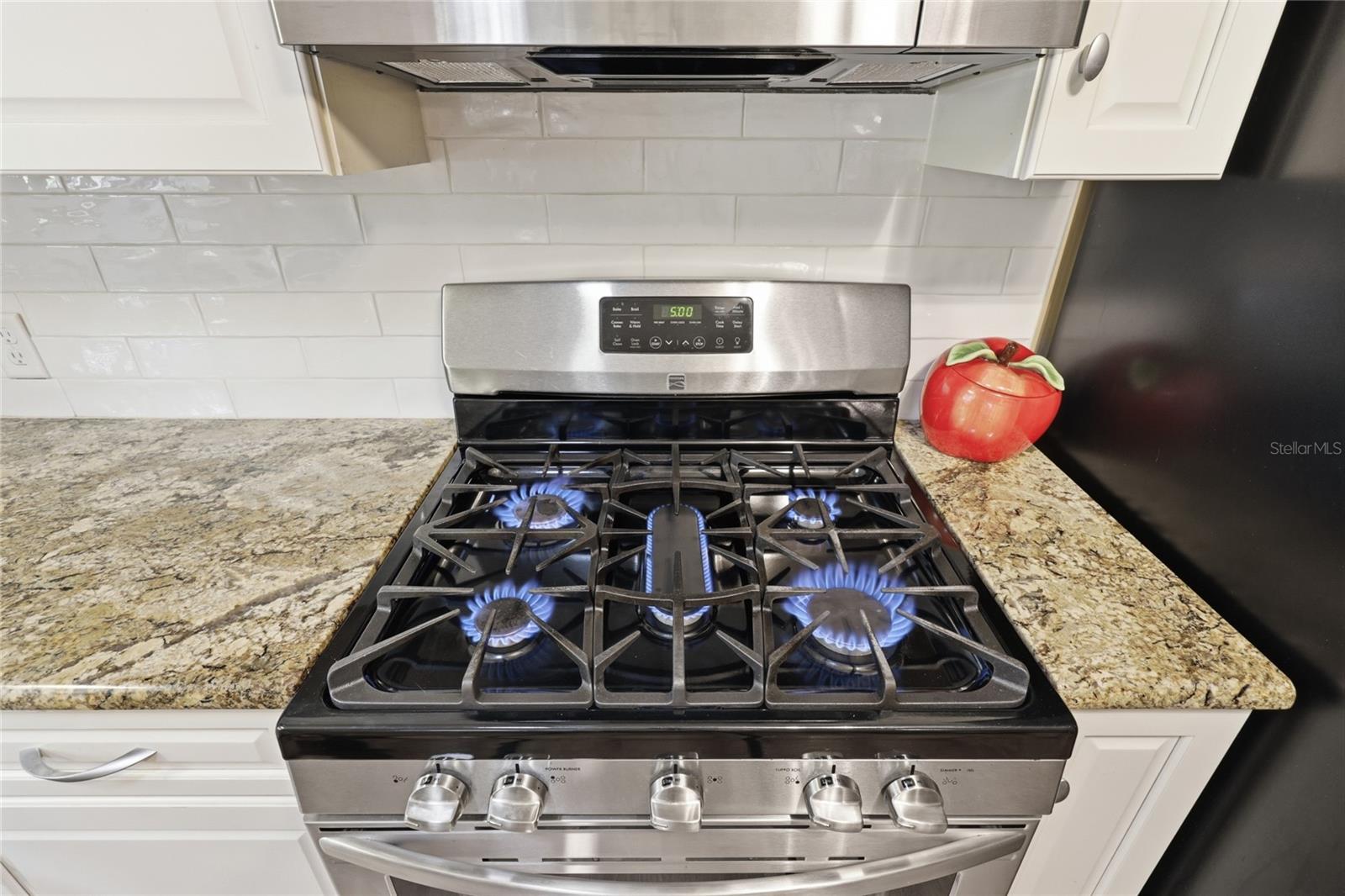 3219 NW 29TH TER, GAINESVILLE, FL, 32605