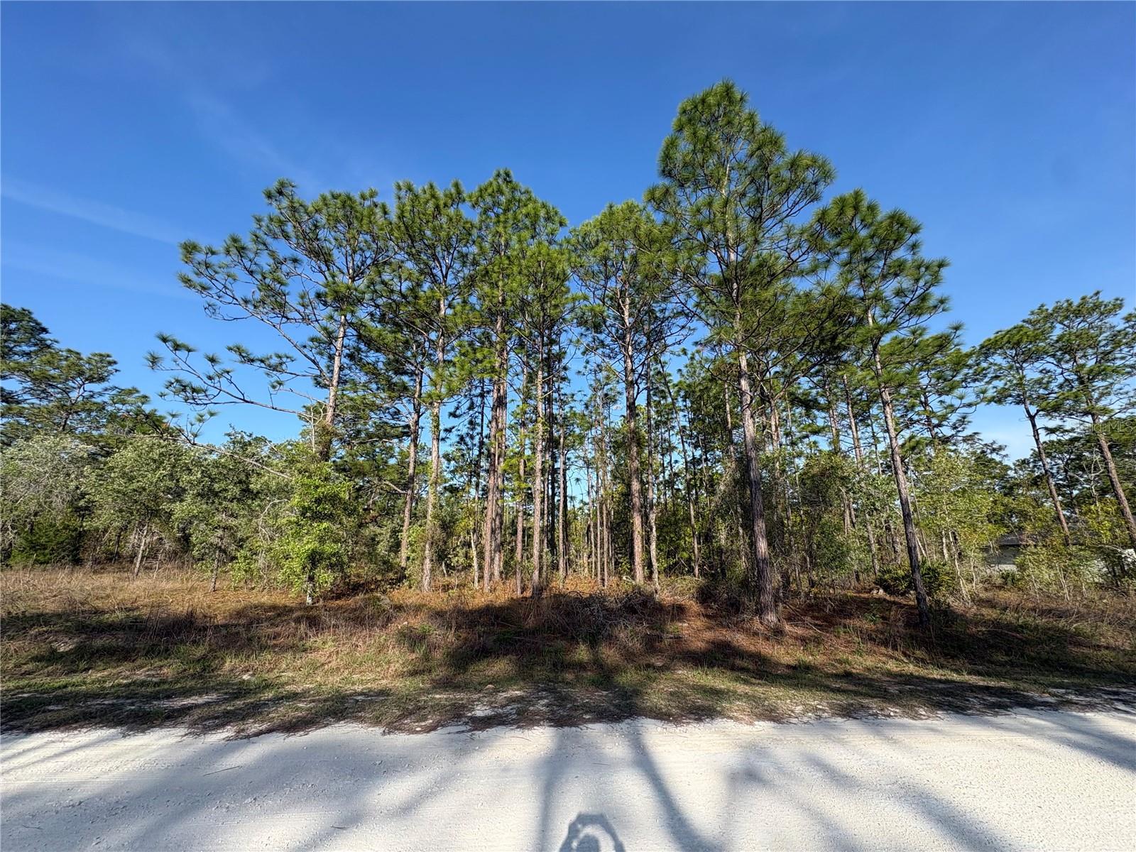 00 PENN STATE RD, WEEKI WACHEE, FL, 34613