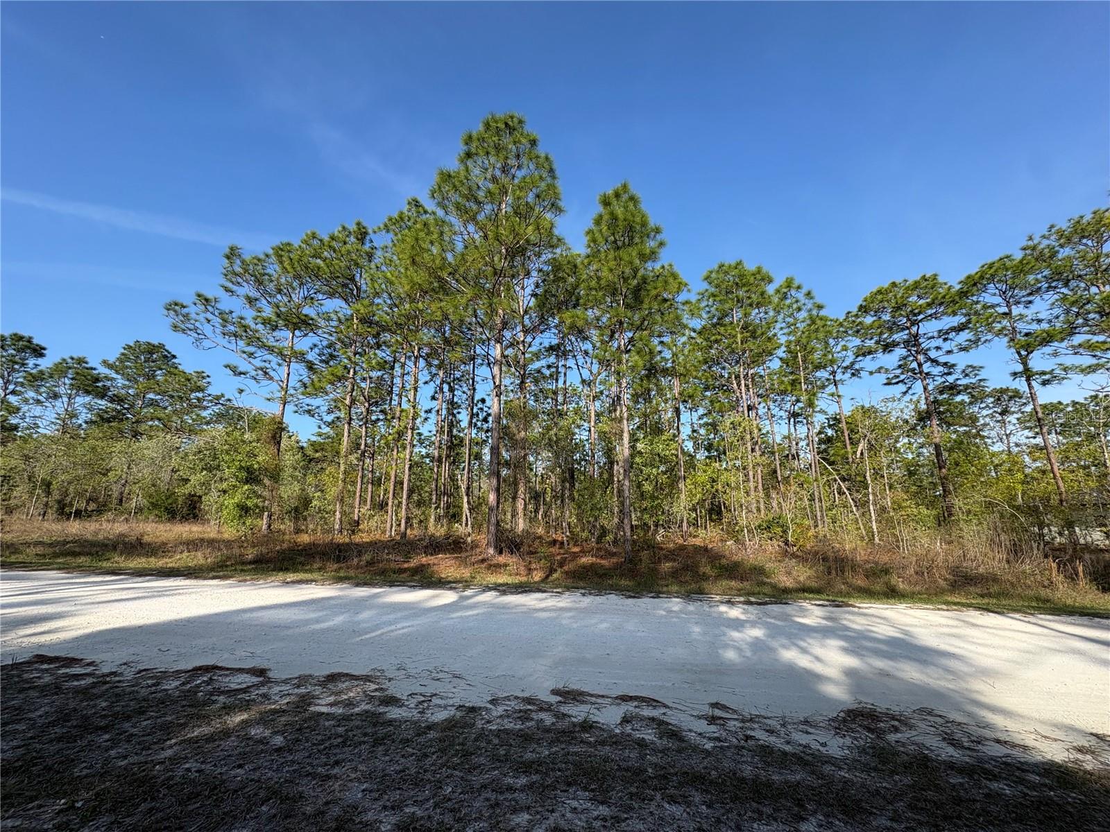 00 PENN STATE RD, WEEKI WACHEE, FL, 34613