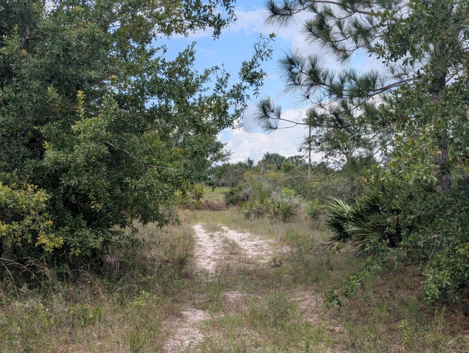 18235 NW 250TH ST, OKEECHOBEE, FL, 34972