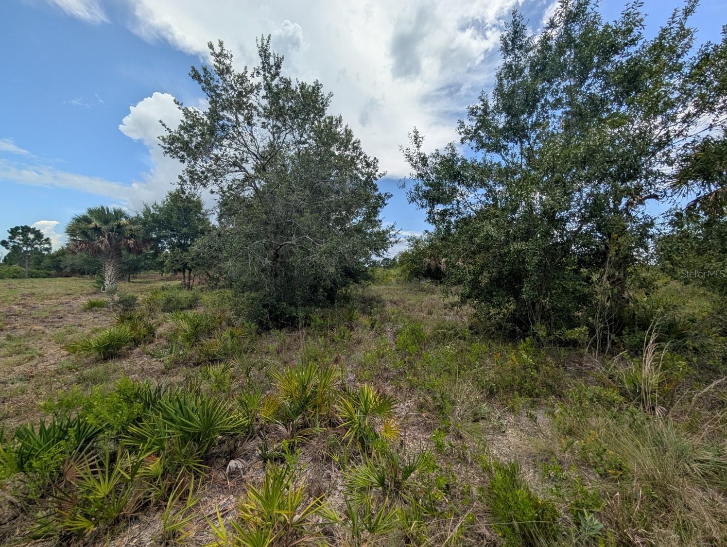 18235 NW 250TH ST, OKEECHOBEE, FL, 34972