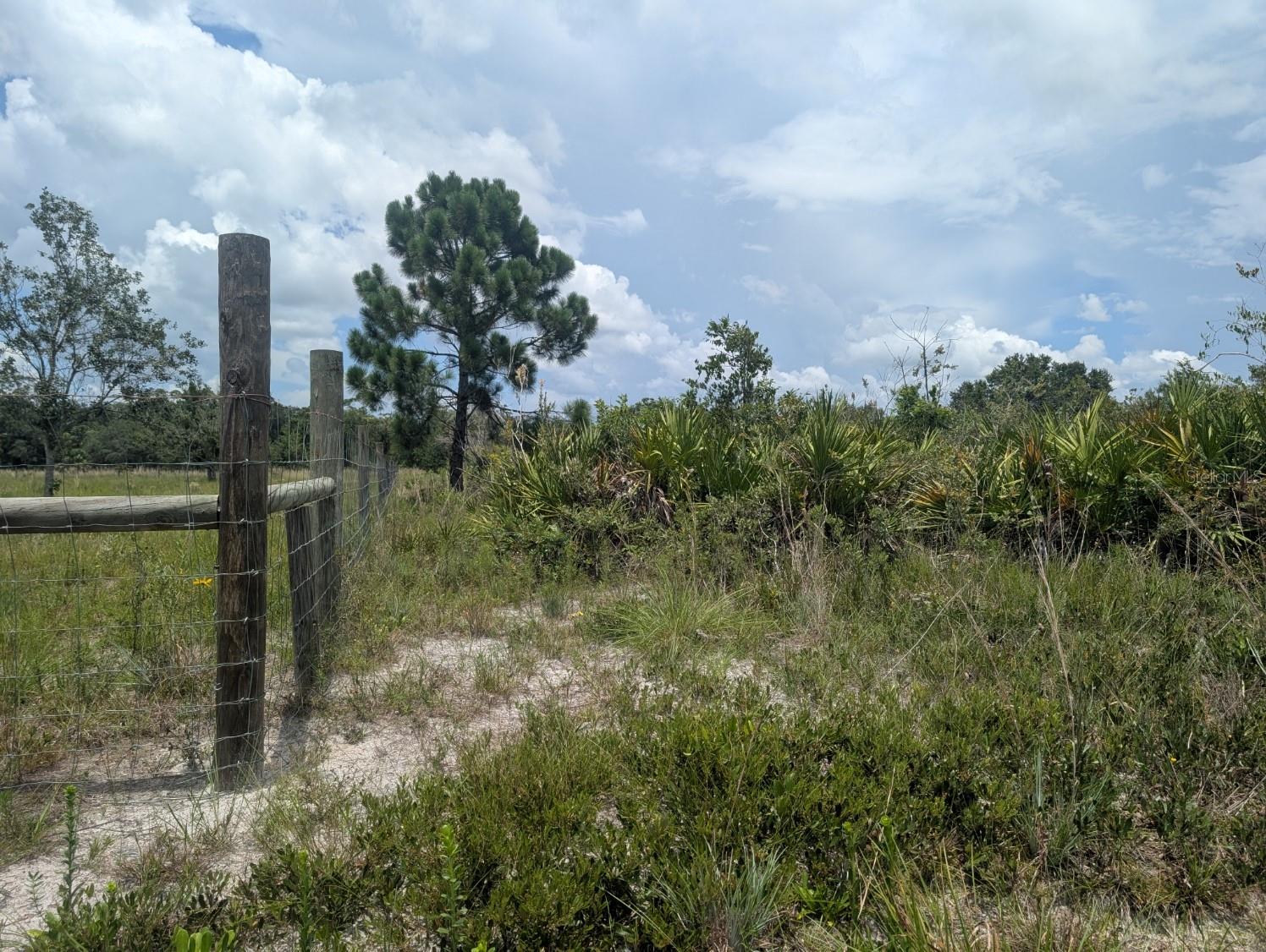 18235 NW 250TH ST, OKEECHOBEE, FL, 34972