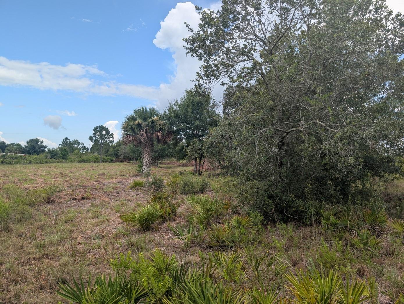 18235 NW 250TH ST, OKEECHOBEE, FL, 34972