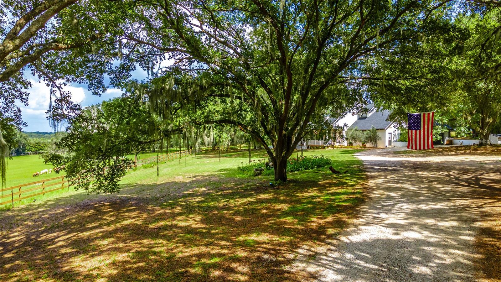 23100 SE HIGHWAY 42, UMATILLA, FL, 32784