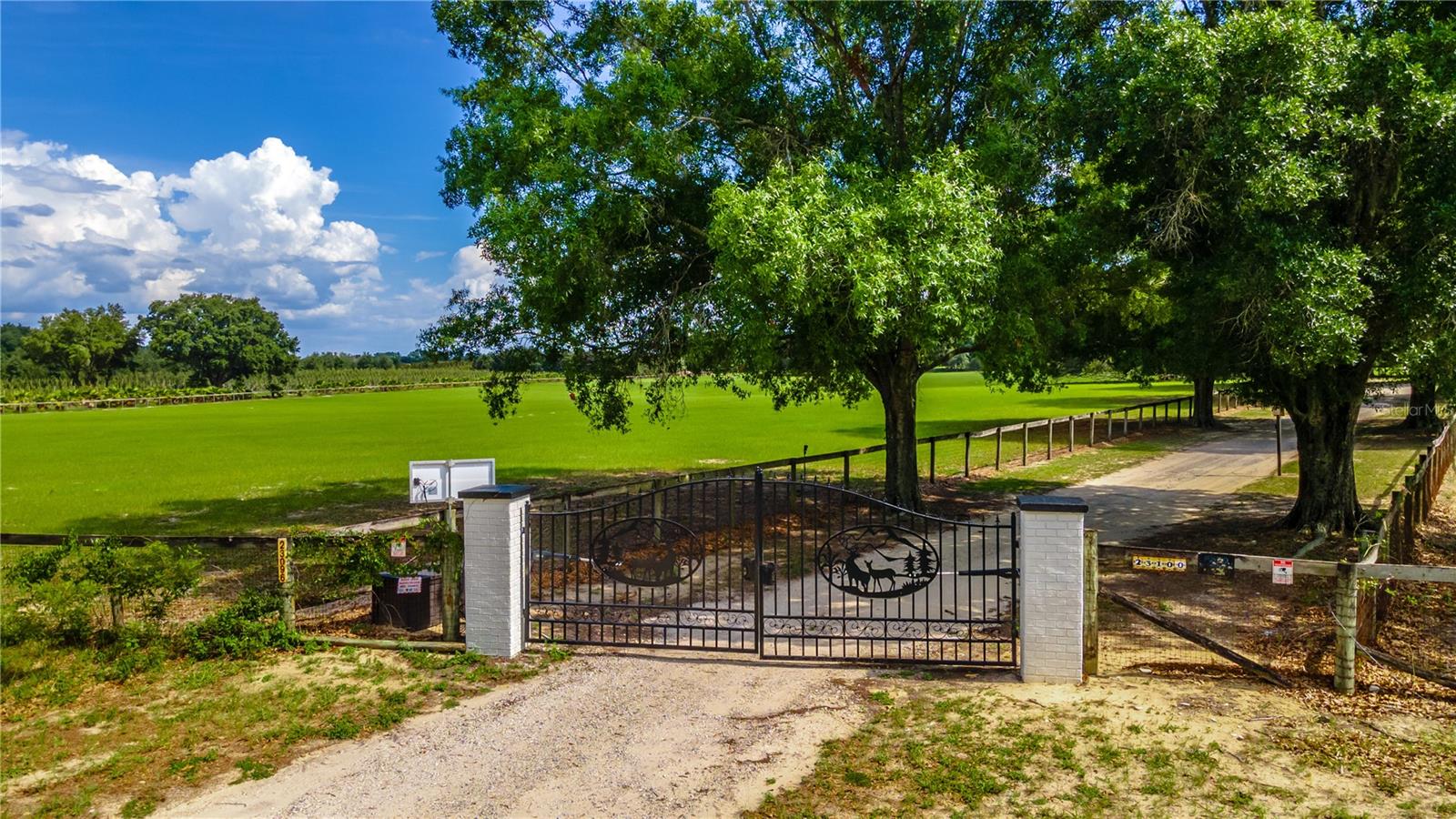 23100 SE HIGHWAY 42, UMATILLA, FL, 32784