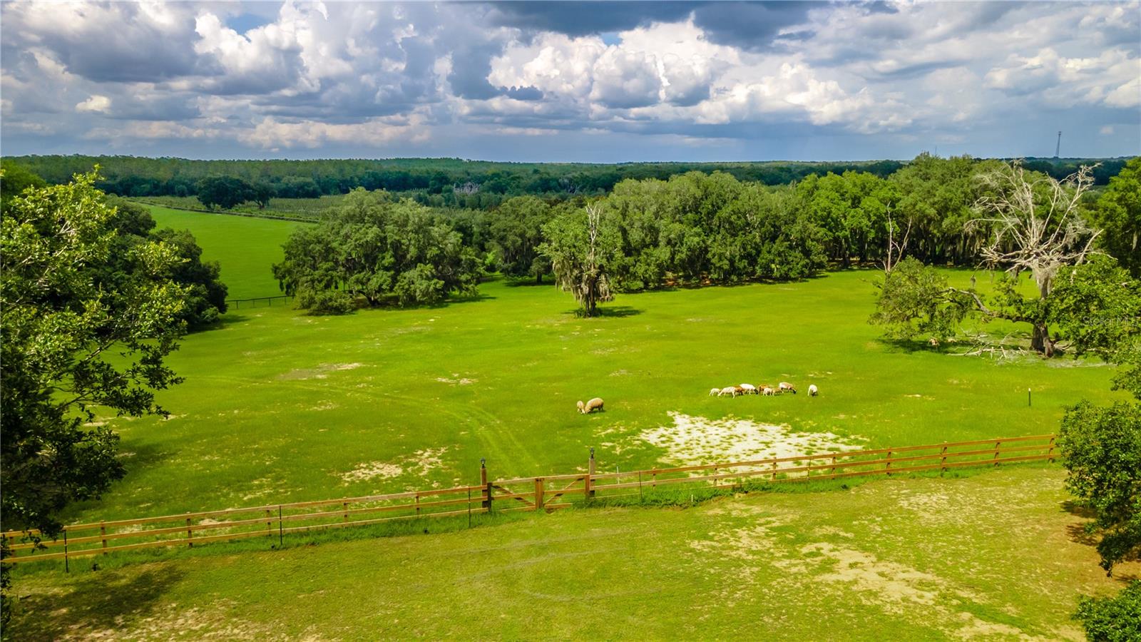 23100 SE HIGHWAY 42, UMATILLA, FL, 32784